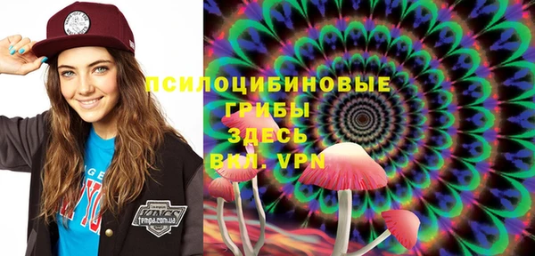 ешки Куйбышев