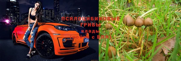 ешки Куйбышев