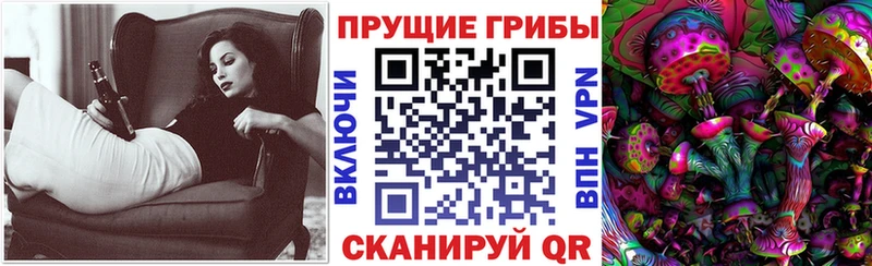 Псилоцибиновые грибы Psilocybe  Купить где  Мелеуз 